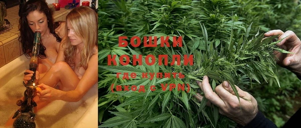 PSILOCYBIN Сатка