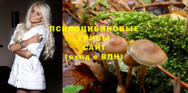 твердый Белоозёрский