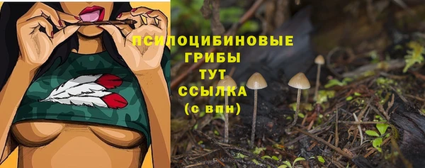 мет Белокуриха