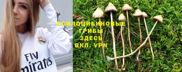 мет Белокуриха